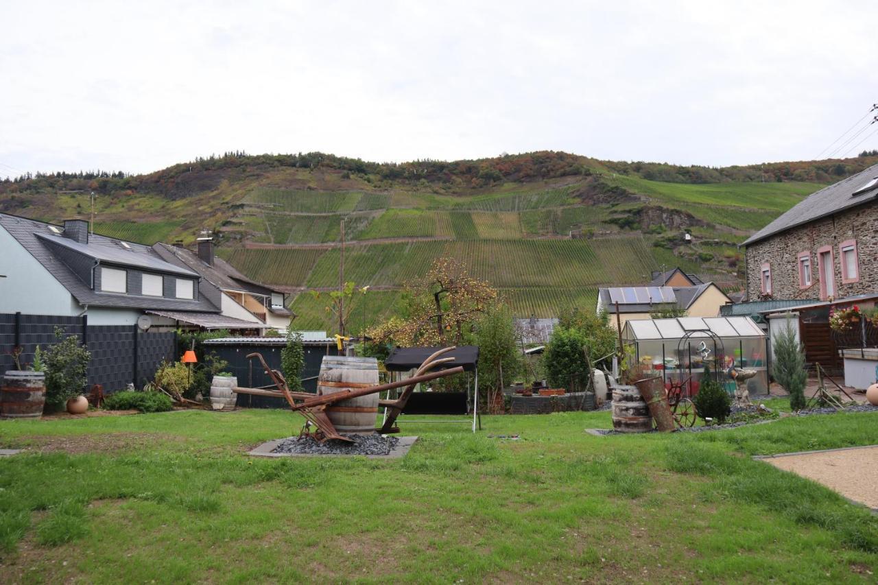 Vila Winzerhaus Wehlener Sonnenuhr Bernkastel-Kues Exteriér fotografie